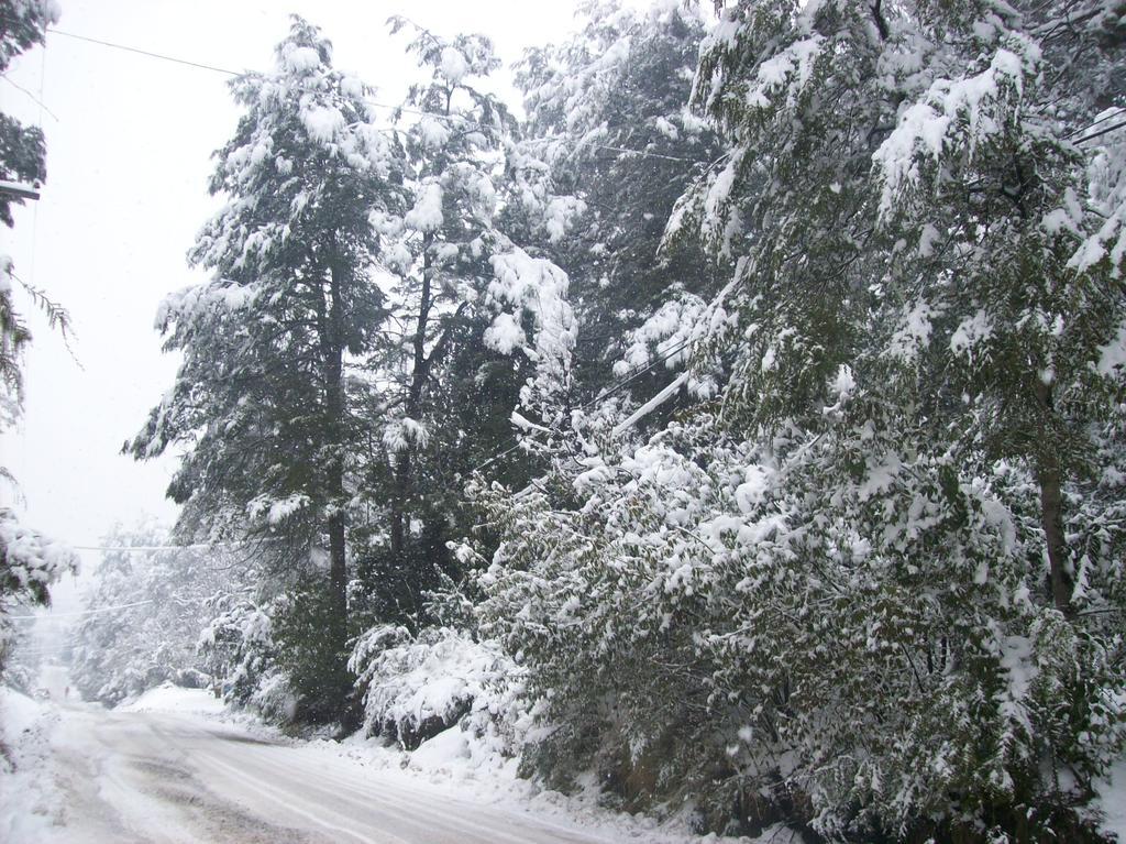 Tierras Del Sur